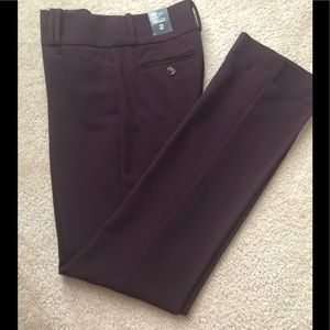 The limited. Drew Fit size 2 pants. NWT.